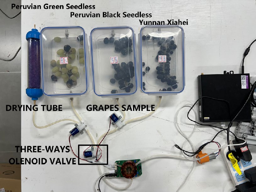 Grape spoilage monitoring